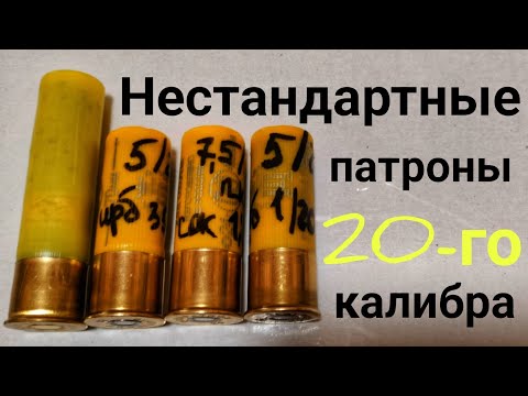 Видео: Нестандартные патроны 20-го калибра #20калибр с нестандартными навесками