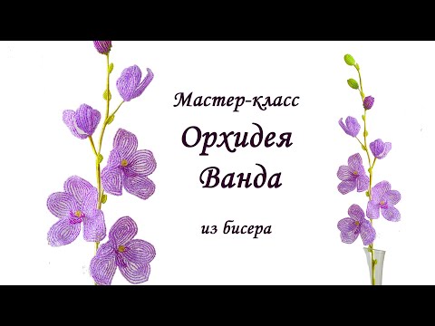 Видео: МК / ОРХИДЕЯ (ВАНДА) ИЗ БИСЕРА  /Мастер-класс Ольги Ковалевой-Лисовской  / Цветы из бисера