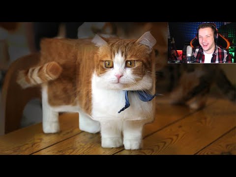 Видео: СЕКРЕТНЫЕ МАЙНКРАФТ МЕМЫ 2009 ГОДА