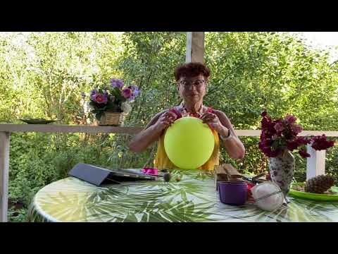 Видео: На веранде. Пиццикато Л. Делиба