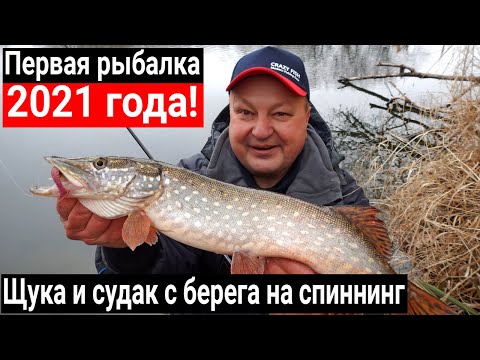 Видео: Первая рыбалка в 2021 году! Щука и судак на спиннинг с берега зимой на Crazy Fish Arion 762 MLT