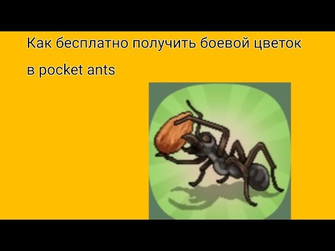 Видео: Как бесплатно получить боевой цветок в pocket ants.