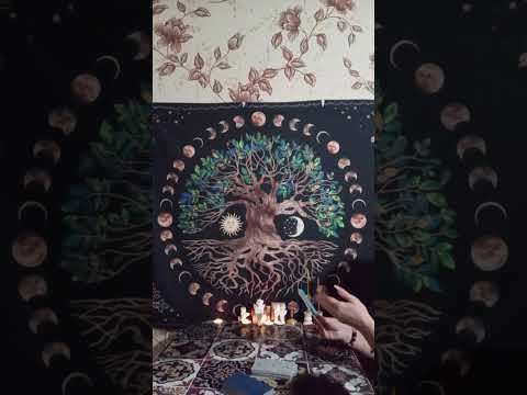 Видео: 💡Таро для мужчин. О чем, о ком вам надо знать#мысличувствадействия #tarot 💡