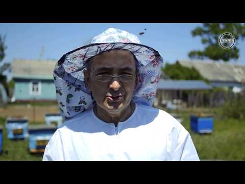 Видео: Практическая часть метод Петра Ивановича Безматерных