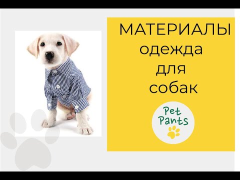 Видео: Из каких материалов шьют одежду для собак