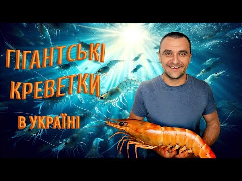 Видео: ЯК ПОБУДУВАТИ БІЗНЕС, ЯКИЙ ПРИНОСИТЬ ЩАСТЯ