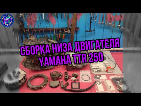 Видео: Сборка двигателя Yamaha TTR 250 "КИРОВ" Часть 1