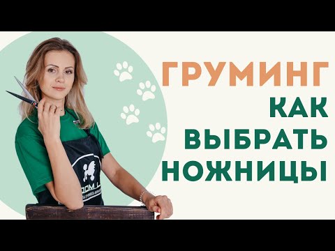 Видео: Ножницы для начинающего грумера. Как выбрать? Упражнения на постановку руки.
