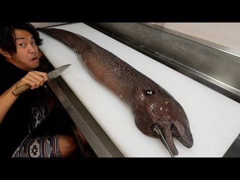 Видео: Я разобрал moray eel размером с человека
