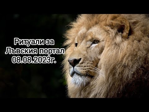 Видео: 🦁Пика на Лъвски портал 08.08.2023г.- Ритуали с мен Валентина ✨