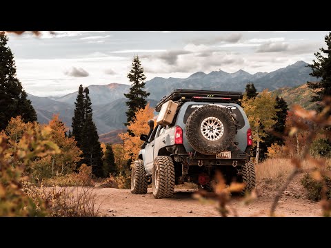 Видео: БЕЗУМНЫЕ ЦВЕТА ОСЕННЕЙ ГОРЫ В ЮТЕ