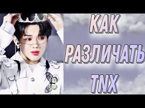 Видео: Учим группу TNX / Как различать TNX / Знакомство с TNX | Kpop Soul