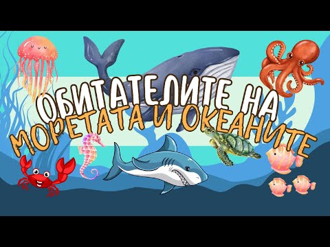 Видео: Морските обитатели | За най-малките | Нашата планета