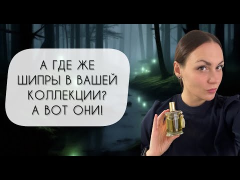 Видео: ШИПРЫ ИЗ МОЕЙ КОЛЛЕКЦИИ\ И МОЕ ОТНОШЕНИЕ К НИМ