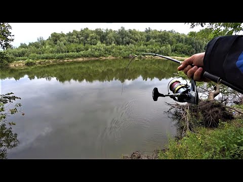 Видео: Щука Клює в Коряжнику на Джиг.  Риболовля на Десні