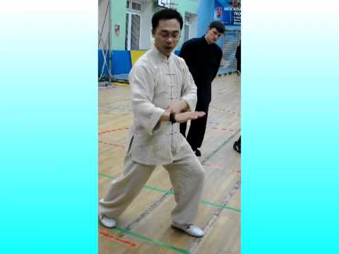 Видео: Ван Лин Тайцзи Ян 24 формы Схватить воробья за хвост