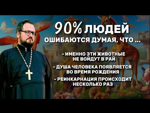 Видео: 🔥‼️ 90℅ ЛЮДЕЙ ОШИБАЮТСЯ ДУМАЯ, ЧТО...‼️ Священник Владислав Береговой