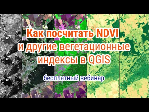 Видео: Вебинар: Как посчитать NDVI и другие индексы - Калькулятор растров в QGIS