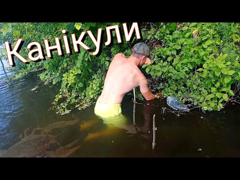 Видео: Скільки Я заробив ловлячи Раків. Ловля раків.