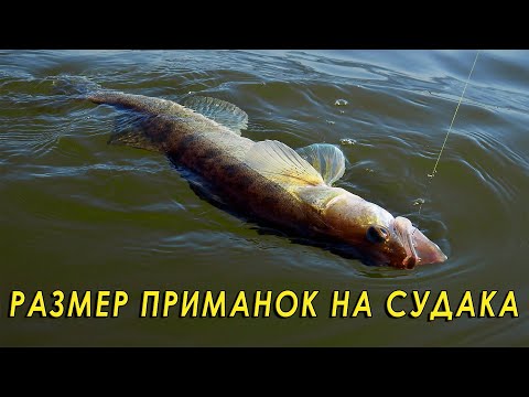 Видео: Какого размера приманку поставить на судака? Рыбалка на спиннинг с каяка.