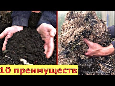 Видео: МУЛЬЧА или КОМПОСТ, что выгодней и полезней?