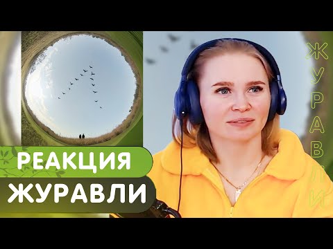 Видео: Реакция на Oxxxymiron*, ooes — журавли