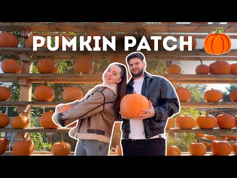 Видео: Осень, тыквы и разговоры по душам 🍂 | Наш день на Pumpkin Patch