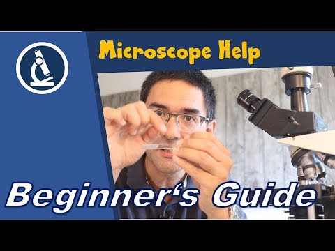 Видео: 🔬 Рассматриваем первый предметный столик микроскопа | Любительская микроскопия