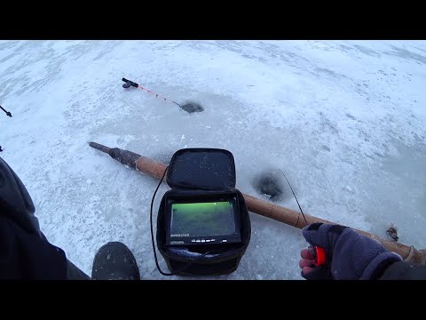 Видео: РИБИ КУЧА! Підводна зйомка. Зимова рибалка в січні 2024