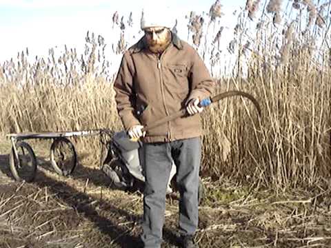 Видео: Чем косить камыш?