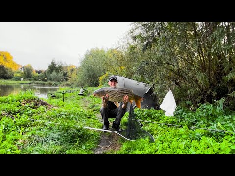 Видео: Ловимо Велетнів в Грозу.  Риболовля з ночівлею на класичні коропові монтажі. Осіння риболовля  4K