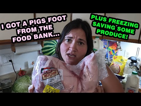 Видео: Продовольственный банк: готовим еду и овощи! Посмотрите, что я принёс!