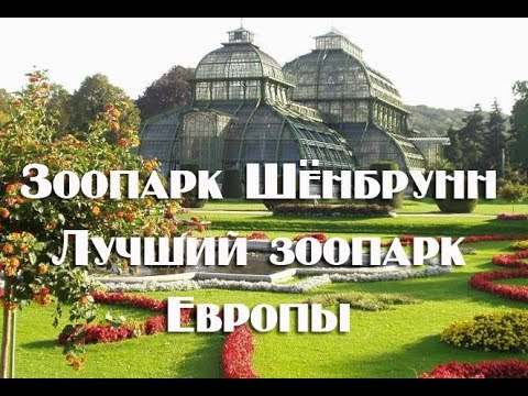Видео: Зоопарк Шёнбрунн в Вене , экскурсия по одному из лучших зоопарков в мире .