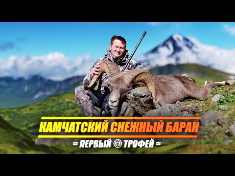 Видео: ПЕРВЫЙ ТРОФЕЙ. ОХОТА НА КАМЧАТСКОГО СНЕЖНОГО БАРАНА