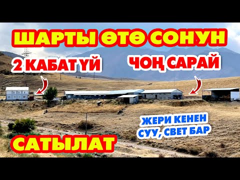 Видео: Оп Па! ҮЙ менен САРАЙДЫ кѳрүп таң калдым УКМУШ экен ~ Эртерээк аракет калың
