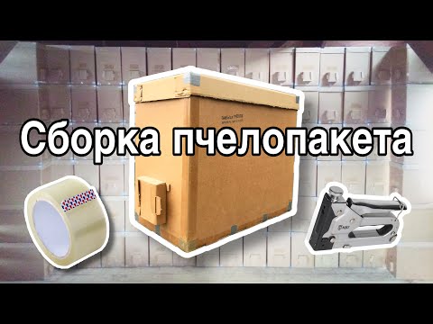 Видео: Пчелопакет из картона, как его правильно собирать
