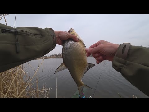 Видео: Рыбалка на Капчагайских карьерах. Раздача леща...Новые навыки фидера.