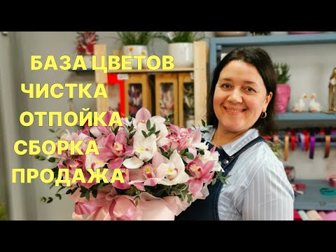 Видео: 🌷 Неделя флориста | Как я ставлю цветы в холодильник и многое другое!