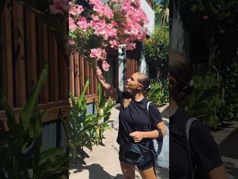 Видео: Что произойдет, если прикоснуться к этому растению?