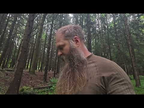 Видео: ВЕЧЕР в ЛААВУ