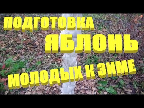 Видео: ПОДГОТОВКА ЯБЛОНЬ К ЗИМЕ.Уход за яблоней осенью