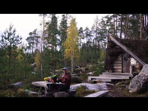 Видео: Дикая Финляндия: тайны осеннего леса. Один без палатки. #wildsuomi
