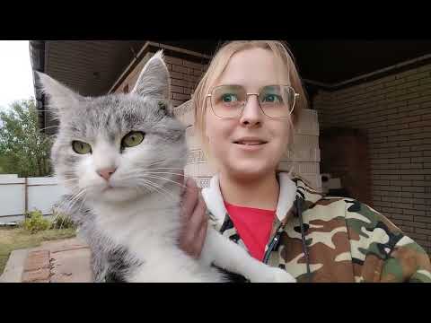 Видео: VLOG На улице похолодало🥶 Как Семён пьёт воду?🥤