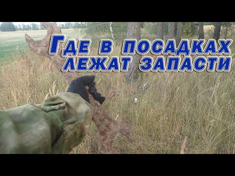 Видео: Учусь искать чермет по лесопосадкам, карькам и осушительным канавам