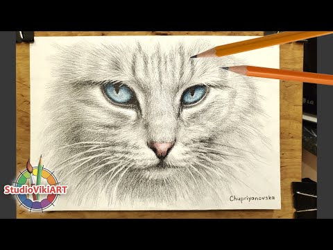 Видео: Как Нарисовать Кота Простым Карандашом - Уроки Рисования