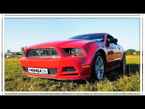 Видео: Табун мечты🔥 обзор FORD MUSTANG 2013