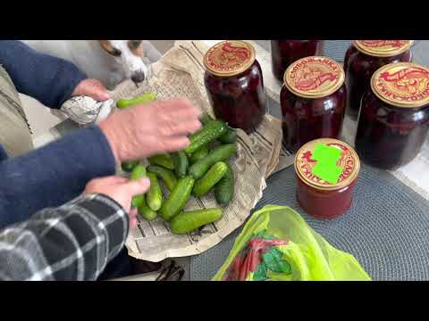 Видео: Закатки от Нади с Недогарок !Завтра  приезжает мама