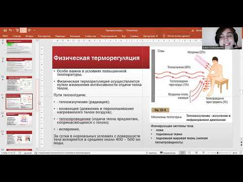Видео: Терморегуляция