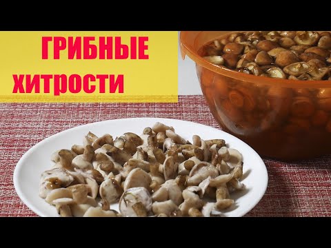 Видео: МАСЛЯТА - КАК БЫСТРО ПОЧИСТИТЬ И ПРАВИЛЬНО ВАРИТЬ СВЕЖИЕ МАСЛЯТА