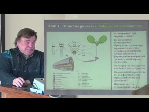 Видео: Носов А. М. - Физиология растений. Часть 2 - 7. Эмбриогенез растений